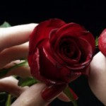 When a Rose is Not Just a Rose